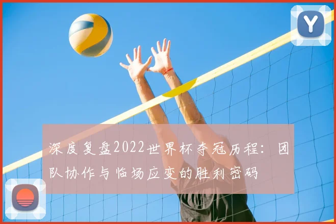 深度复盘2022世界杯夺冠历程：团队协作与临场应变的胜利密码