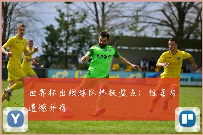 世界杯出线球队终极盘点：惊喜与遗憾并存